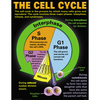 Mcdonald Cells Teaching Poster Set TCRP127